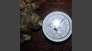 Download Lagu Kudu kumha MP3