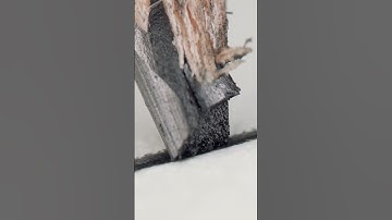 Pencil writing on paper in macro #closeup #urday