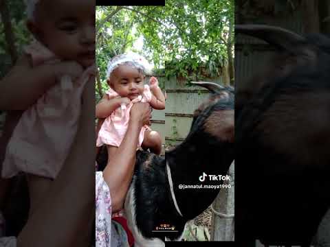 My Baby Shortvideo Foryou Youtubeshorts Viralshorts Vtuber