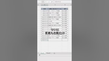 【30秒でわかるExcel時短術】ズボラ必見！自動で罫線 #excel #エクセル #エクセル初心者 #仕事術