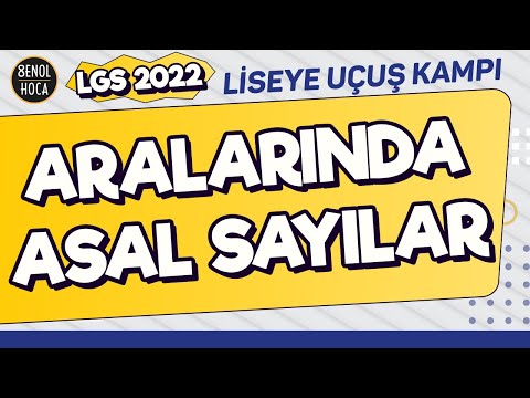 ARALARINDA ASAL SAYILAR - 8. SINIF MATEMATİK ŞENOL HOCA