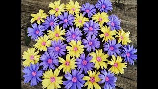 Aster Flower | How to Make Aster Flower With Color Paper | DIY Paper Craft | Craftastic