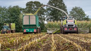 Chopping corn with 12 row Claas Jaguar 980 / Lohnbetrieb Teipen / Mais silage 2021