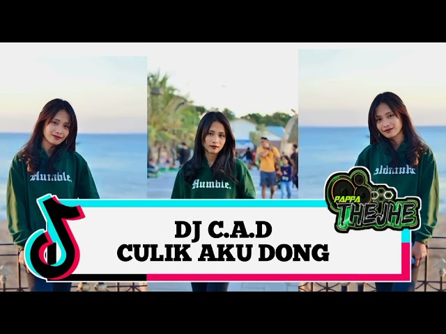 DJ CULIK AKU DONG_C.A.D [ Pappa TheJhe ] AKLETU STYLE class=