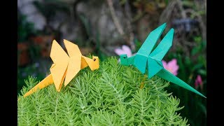 Origami TV - Cách gấp con chuồn chuồn giấy đơn giản nhất | How to make a paper dragonfly?