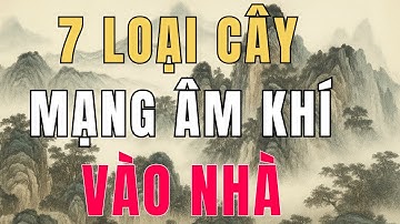 7 Loại cây dù thích đến mấy cũng tuyệt đối KHÔNG ĐƯỢC TRỒNG sẽ mang ÂM KHÍ VÀO NHÀ ,phong thuỷ