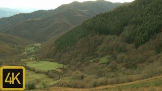 Área recreativa valle Peral. Pola de Lena. Asturias. 4K