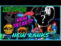 NINJA LEGENDS 2 UPDATE - IS THERE A NEW SECRET ORB PET? (NEW PETS / RANKS / POWERS)