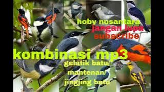 TERBARU SUARA PIKAT BURUNG 💯💯‼️KOMBINASI GLATIK BATU JINGJING BATU MANTENAN