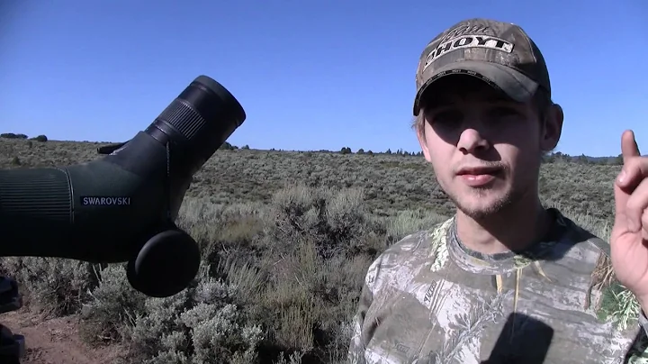 Paunsaugunt Archery Hunt in Southern Utah - MossBack