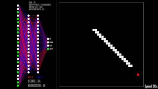 Neural Network Learns to Play Snake