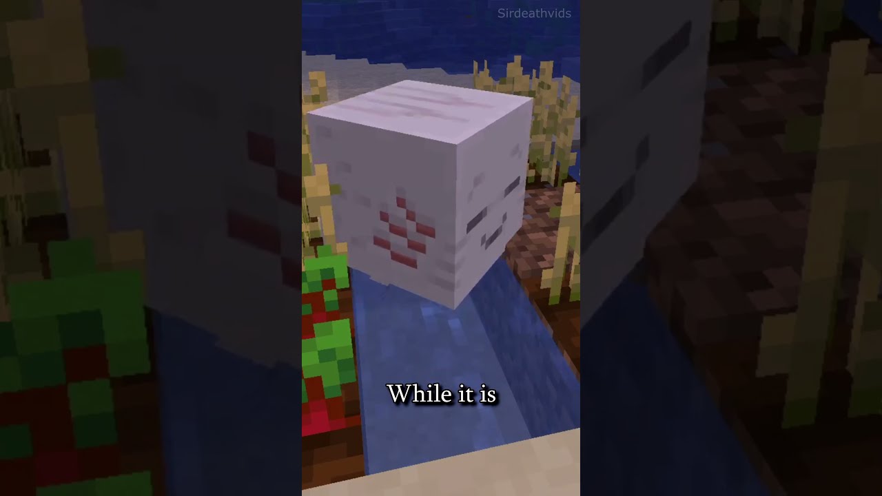 How To Get A Pet Ghast In Minecraft