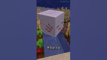 How to Get a Pet Ghast in Minecraft