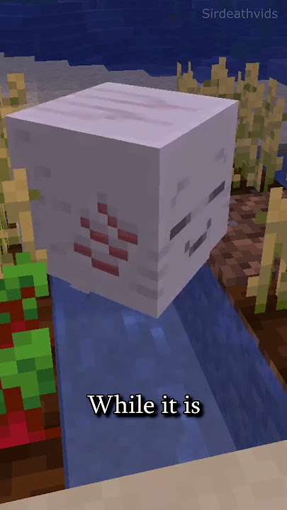 How to Get a Pet Ghast in Minecraft