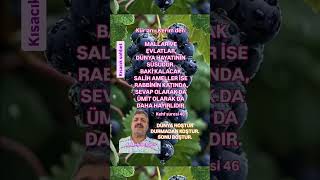 Kısacık Sohbet. F.mehmet Şen Z