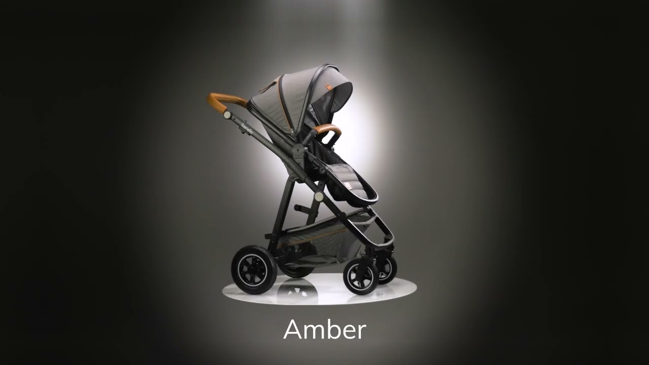 LIONELO Amber Coche de bebé multifuncional 2 en 1 Conjunto silla