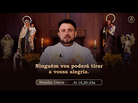 Homilia Diária |
