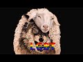ЛГБТ в овечьей шкуре? Александр Антонюк о выпуске на канале &quot;Серафим&quot; с Алексеем Меняйло