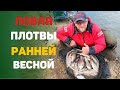 ловля плотвы ранней весной