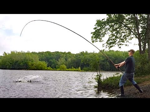 Fishing for BIG fish with 30' bamboo pole! - pole fishing for carp