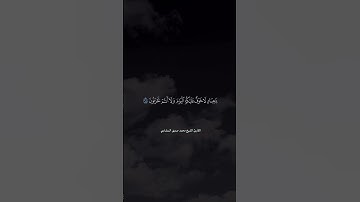 تلاوة رائعة من سورة الزخرف | القارئ الشيخ محمد صديق المنشاوي #المنشاوي  #القرءان_الكريم