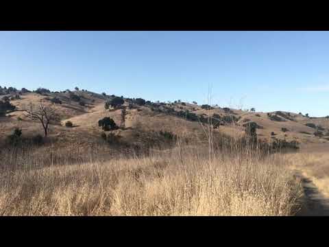 Five Minute Field Trip: Open Oak Woodland in Woodland Hills