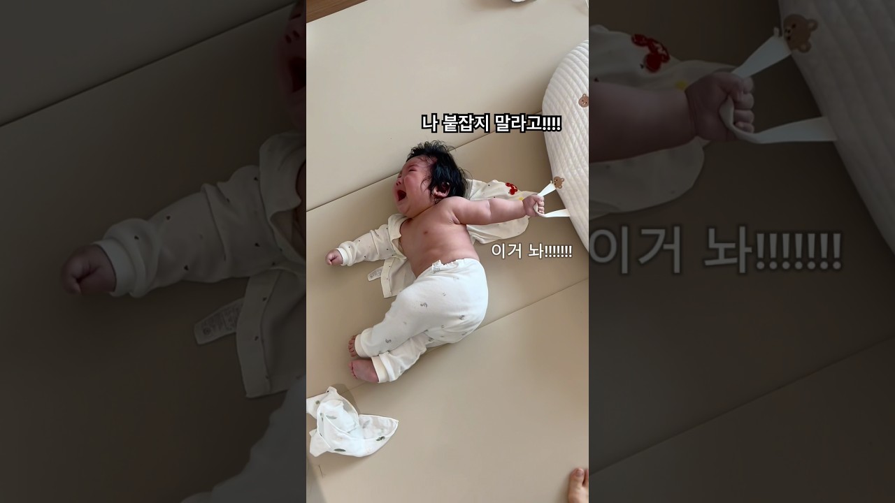 YouTube 영상 미리보기