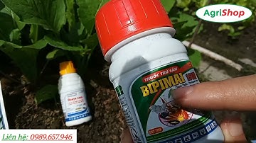 Thuốc đặt trị bọ nhảy trên các loại rau cải  #nongnghiep #BVTV #VTNN