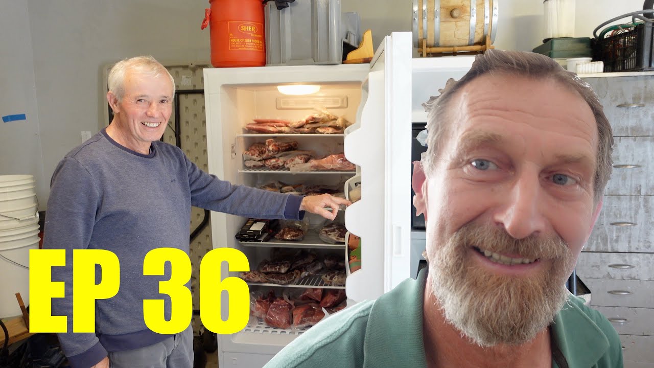 ZADNJI DAN U KANADI! VRACAM SE ZA SRBIJU!