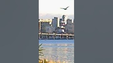 Thumbnail of Keep on Flying #ambient #ambientmusic #music #newmusic