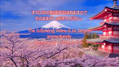 無人島生活 黄金伝説 よゐこ ローラ一覧 Youtube