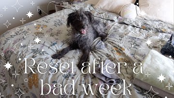 RESET VLOG: april budget, trader joe