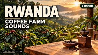 Information Rwanda-Inspired Coffee Farm Sounds | 8 Hours of Gentle Grinding & Relaxing Ambience Update