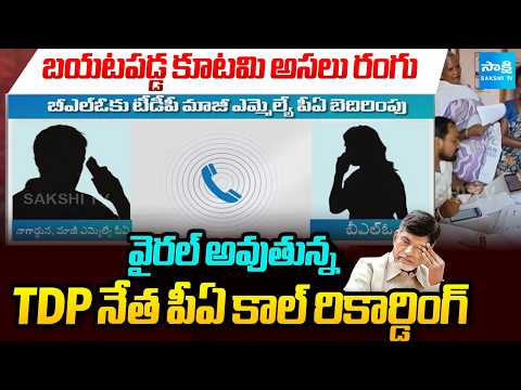 ఆడియో లీక్..BLOకు మాజీ ఎమ్మెల్యే పీఏ బెదిరింపులు | TDP PA Threatens BLO Over SIR Survey  | Sakshi TV - SAKSHITV