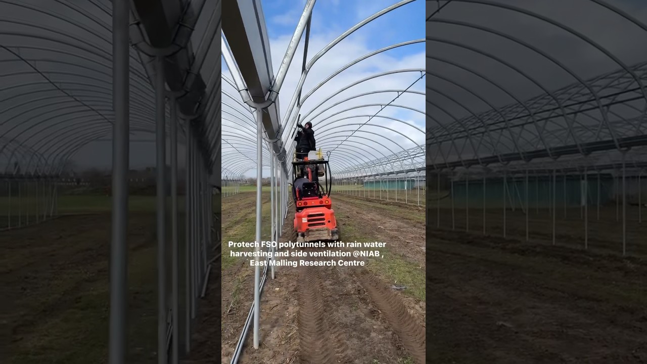 Protech oval tube polytunnels with climate control , rain water harvesting at NIAB East Malling