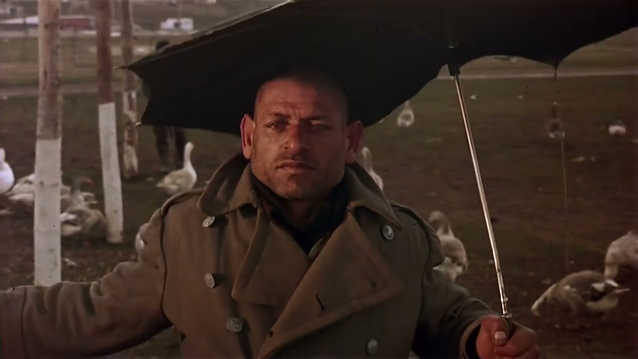 Time of the Gypsies (1988) - Intro - Emir Kusturica - Davor Dujmovic - Bora Todorovic - English Sub