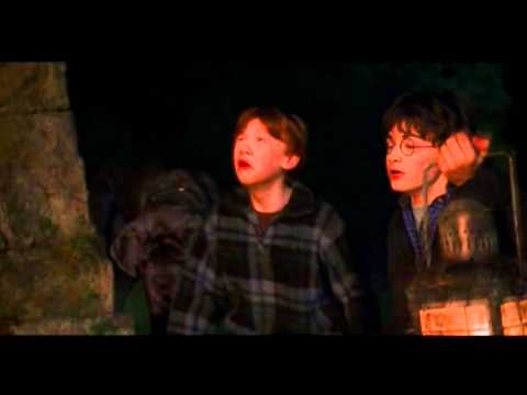 Funny Weasley Scene #9 | "Why Can't We Follow the ...