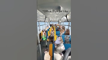 Office tours of cats ! #branded #ui #ux #webdesign #webdevelopment #css #development #html #web3