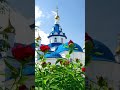 Душевный лекарь#Церковь#shortvideo#shorts#Молитва#Православие