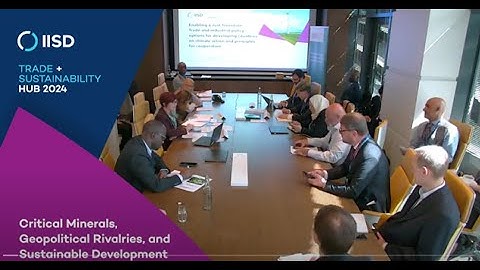 Enabling a Just Transition: Trade and industrial policy options for developing countries