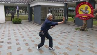 Grandmaster Ho Demonstrates Mo-Kiu, a Famous Form of Dragon Style Kung Fu (Lung-ying kyun 龙形拳)