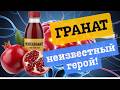 Почему врачи советуют гранатовый сок? Удивительные факты!