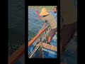 trolling fishing 🎣🐟 #kokanfishing #onlyfishing #subscribe #vairalshort #vairalvideo #trollingfishing