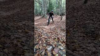 Shred that turn! 🍂