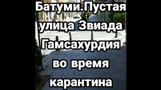 Видео Батуми.Пустая улица Звиада Гамсахурдия во время карантина. (автор: Batumi Live Channel)