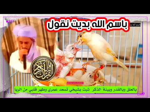 بسم الله نقول والصلاة على الرسول محمد أب الباتول هو خاتم الانبياء مكتوب