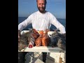 PESCA GALLOS Y CAP ROJOS MALLORCA