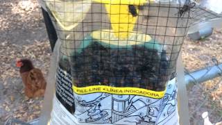 Disgusting maggots, fly catching bag rescue fly trap bug pest control DIY 