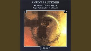Mass in F Major, WAB 9 (Completed J. Messner for Choir & Organ)