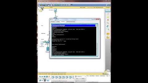 Activity 7.2.5-Validating the IP Addressing Scheme